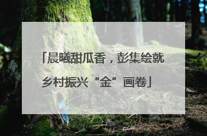 晨曦甜瓜香，彭集绘就乡村振兴“金”画卷