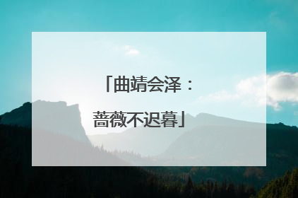 曲靖会泽：蔷薇不迟暮