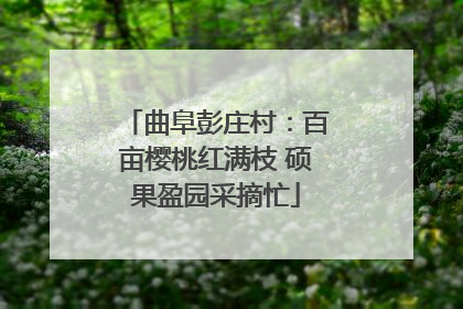曲阜彭庄村：百亩樱桃红满枝 硕果盈园采摘忙