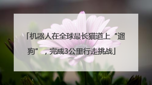 机器人在全球最长猫道上“遛狗”，完成3公里行走挑战