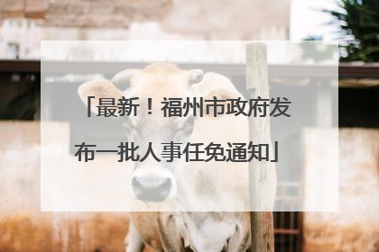 最新！福州市政府发布一批人事任免通知