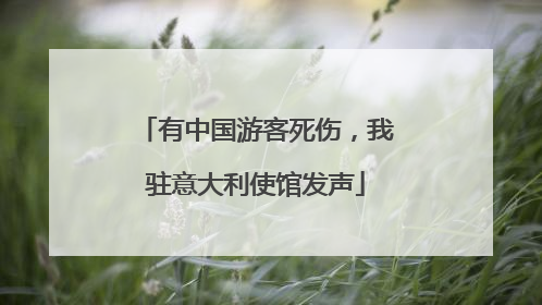 有中国游客死伤，我驻意大利使馆发声