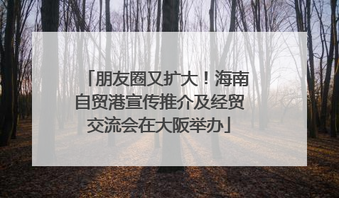 朋友圈又扩大！海南自贸港宣传推介及经贸交流会在大阪举办