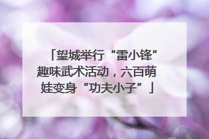 望城举行“雷小锋”趣味武术活动，六百萌娃变身“功夫小子”