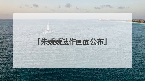 朱媛媛遗作画面公布
