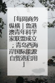 每周商务纵横｜鲁港澳青年科学家联盟成立；青岛西海岸国际能源自贸港启用