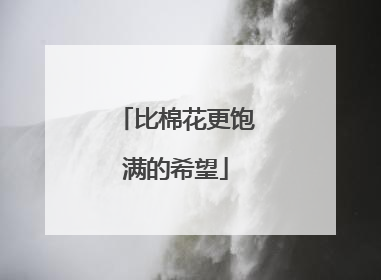 比棉花更饱满的希望