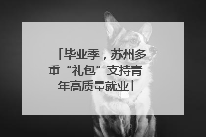 毕业季，苏州多重“礼包”支持青年高质量就业