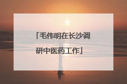 毛伟明在长沙调研中医药工作