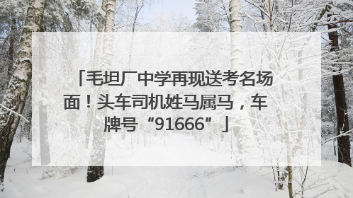 毛坦厂中学再现送考名场面！头车司机姓马属马，车牌号“91666”