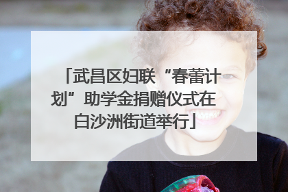 武昌区妇联“春蕾计划”助学金捐赠仪式在白沙洲街道举行