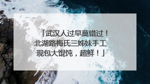 武汉人过早莫错过！北湖路梅氏三姊妹手工现包大馄饨，超鲜！