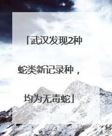 武汉发现2种蛇类新记录种，均为无毒蛇