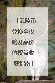 武陵币兑换全攻略及高价值权益收获指南