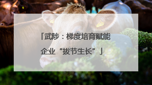 武陟：梯度培育赋能企业“拔节生长”