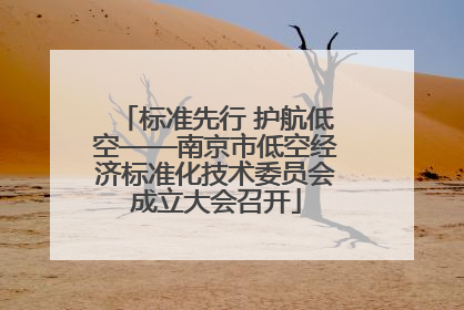 标准先行 护航低空——南京市低空经济标准化技术委员会成立大会召开