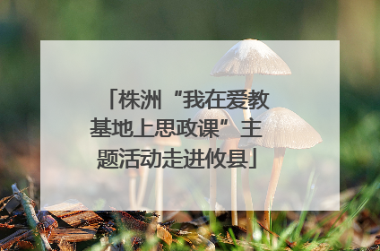 株洲“我在爱教基地上思政课”主题活动走进攸县