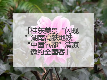 桂东美景“闪现”湖南高铁地铁 “中国氧都”清凉邀约全国客