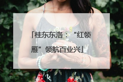 桂东东洛：“红领雁”领航百业兴