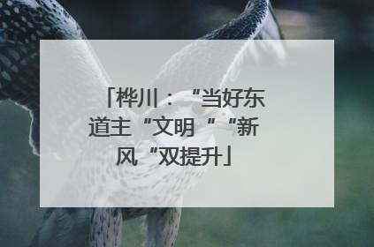 桦川：“当好东道主“文明““新风“双提升
