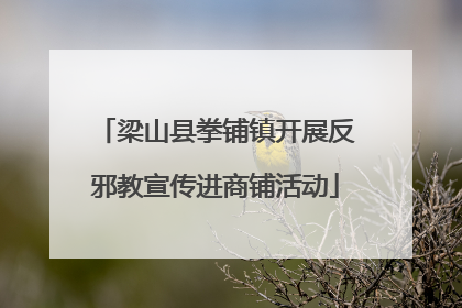 梁山县拳铺镇开展反邪教宣传进商铺活动