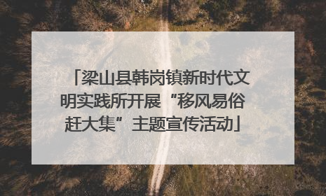 梁山县韩岗镇新时代文明实践所开展“移风易俗赶大集”主题宣传活动
