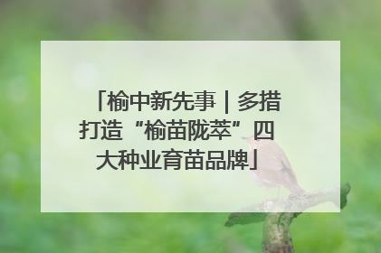 榆中新先事｜多措打造“榆苗陇萃”四大种业育苗品牌