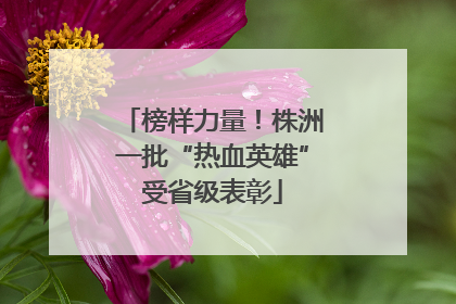 榜样力量！株洲一批“热血英雄”受省级表彰