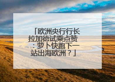 欧洲央行行长拉加德试乘点赞：萝卜快跑下一站出海欧洲？
