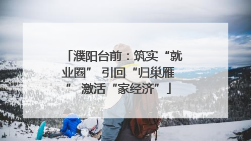 濮阳台前：筑实“就业圈” 引回“归巢雁” 激活“家经济”