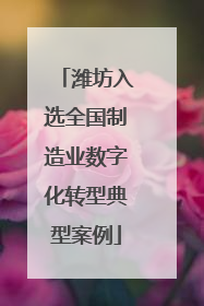 潍坊入选全国制造业数字化转型典型案例