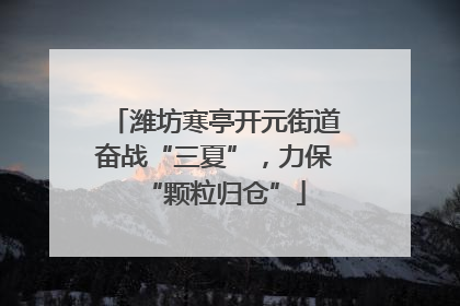 潍坊寒亭开元街道奋战“三夏”，力保“颗粒归仓”