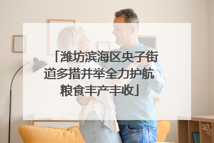 潍坊滨海区央子街道多措并举全力护航粮食丰产丰收