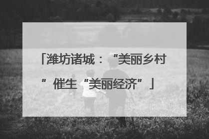 潍坊诸城：“美丽乡村”催生“美丽经济”
