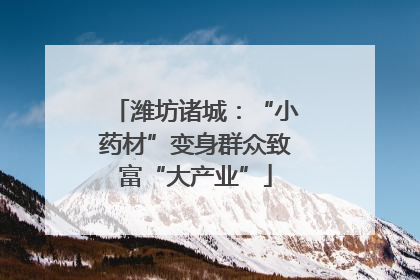 潍坊诸城：“小药材”变身群众致富“大产业”