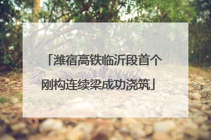 潍宿高铁临沂段首个刚构连续梁成功浇筑