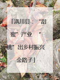 潢川县：“甜蜜”产业  “桃”出乡村振兴金路子