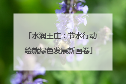 水润王庄：节水行动绘就绿色发展新画卷