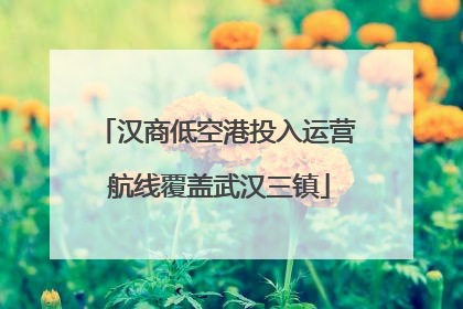 汉商低空港投入运营 航线覆盖武汉三镇