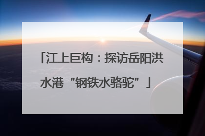 江上巨构：探访岳阳洪水港“钢铁水骆驼”