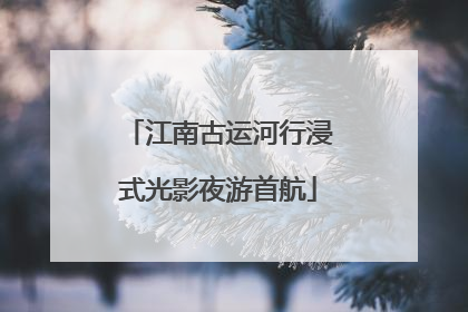 江南古运河行浸式光影夜游首航