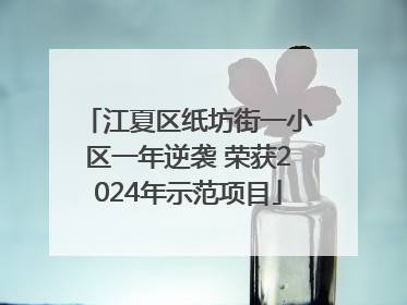 江夏区纸坊街一小区一年逆袭 荣获2024年示范项目