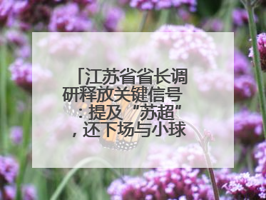 江苏省省长调研释放关键信号：提及“苏超”，还下场与小球员踢球互动