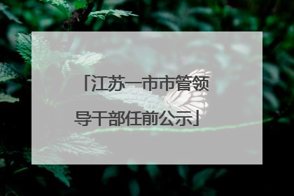 江苏一市市管领导干部任前公示