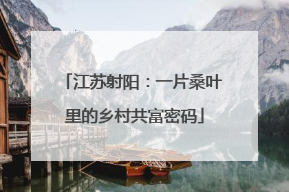 江苏射阳：一片桑叶里的乡村共富密码