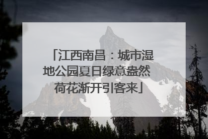 江西南昌：城市湿地公园夏日绿意盎然 荷花渐开引客来