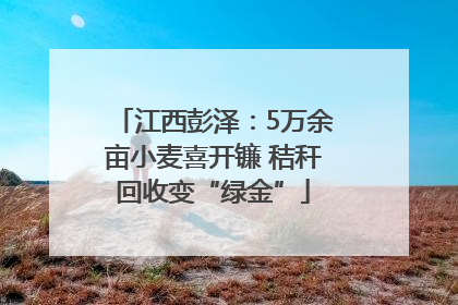 江西彭泽：5万余亩小麦喜开镰 秸秆回收变“绿金”