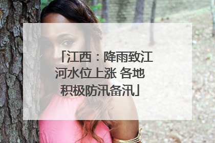 江西：降雨致江河水位上涨 各地积极防汛备汛