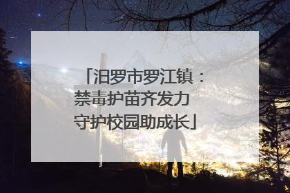 汨罗市罗江镇：禁毒护苗齐发力 守护校园助成长