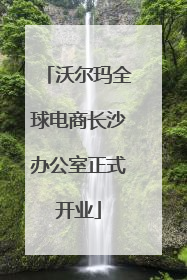 沃尔玛全球电商长沙办公室正式开业